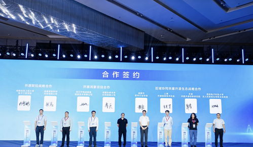 85條供需信息集中發布，成都開源生態建設大會引領軟件技術推廣新浪潮